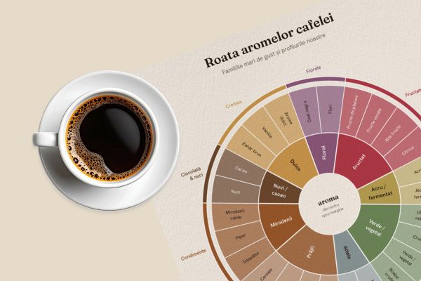 roata aromelor cu profil ciocolata si nuci